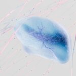 Finance AI Project – Real‑Time Fraud Detection & Risk Assessment